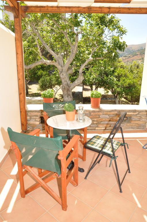 Handakas Studios Ándros Extérieur photo